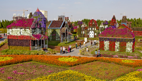 Miracle Garden