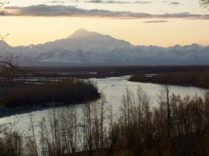 Der Mt. McKinley im Denali Nationalpark