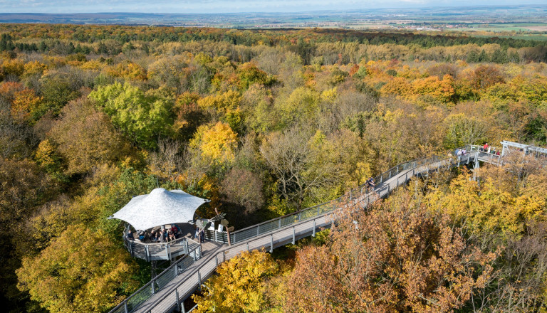 Baumkronenpfad im Nationalpark Hainich