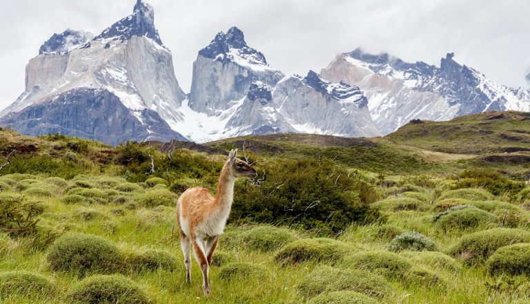 nationalpark torres del paine