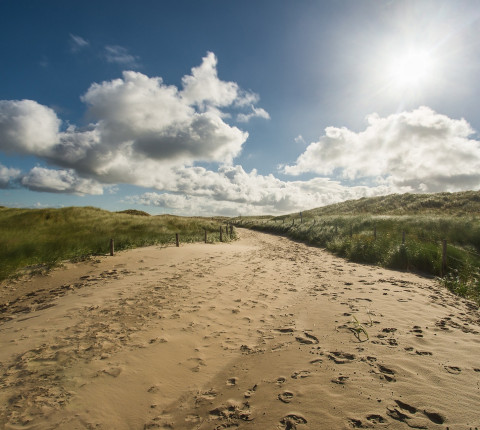 4 Tage Urlaub in Holland direkt an der Nordsee inkl. Frühstück