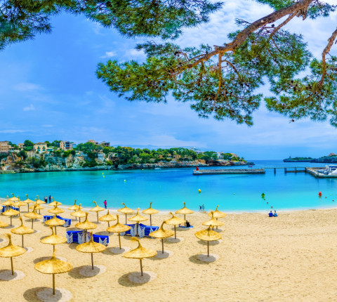 Mallorca Last Minute im Mai: 7 Tage Strandurlaub inkl. Flug, Transfer & Halbpension