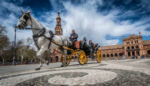 Pferdekutsche Sevilla