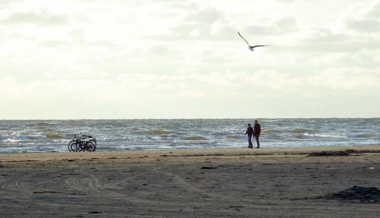 Radurlaub auf Föhr