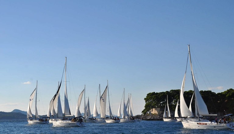 Segelregatte AMS-Cup in Kroatien