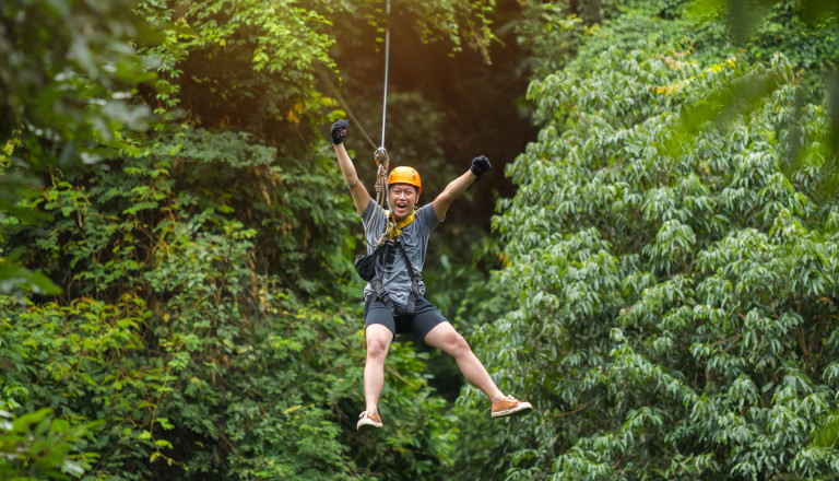 Regenwald Zipline