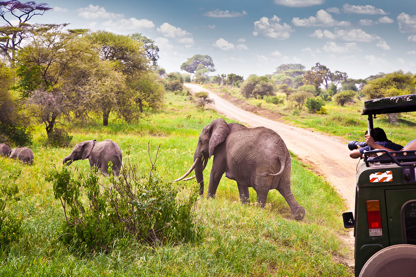 afrika safari reise buchen