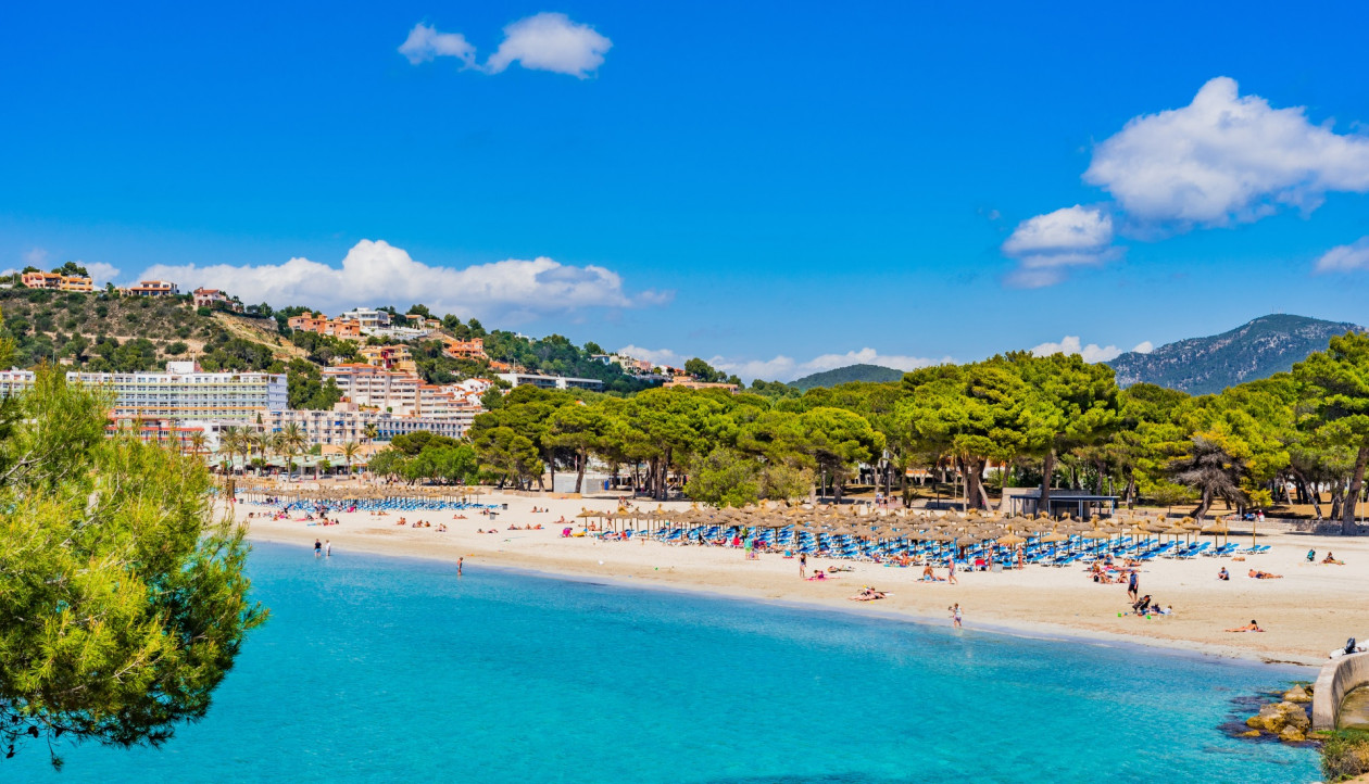 3,5* Hotel Santa Ponsa Pins auf Mallorca - Spanien Urlaub im Herbst