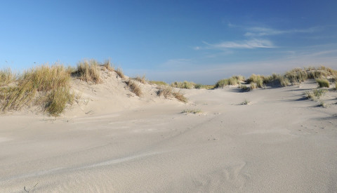 Spiekeroog Dünen