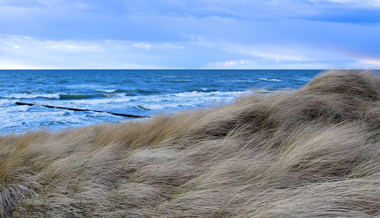 Strand Dierhagen