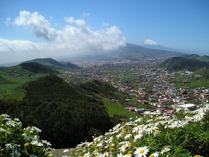 Teneriffa: Frühling auch im Winter