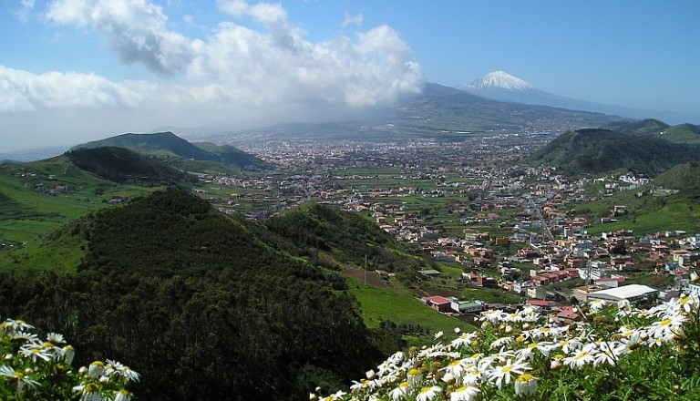 Teneriffa: Frühling auch im Winter