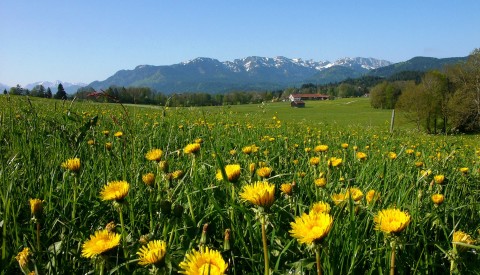 Tölzer Land Bilderbuchidylle