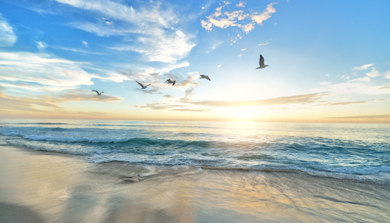 Top Griechenland-Deal: Century Resort Corfu in Acharavi (Insel Korfu)ab 614€