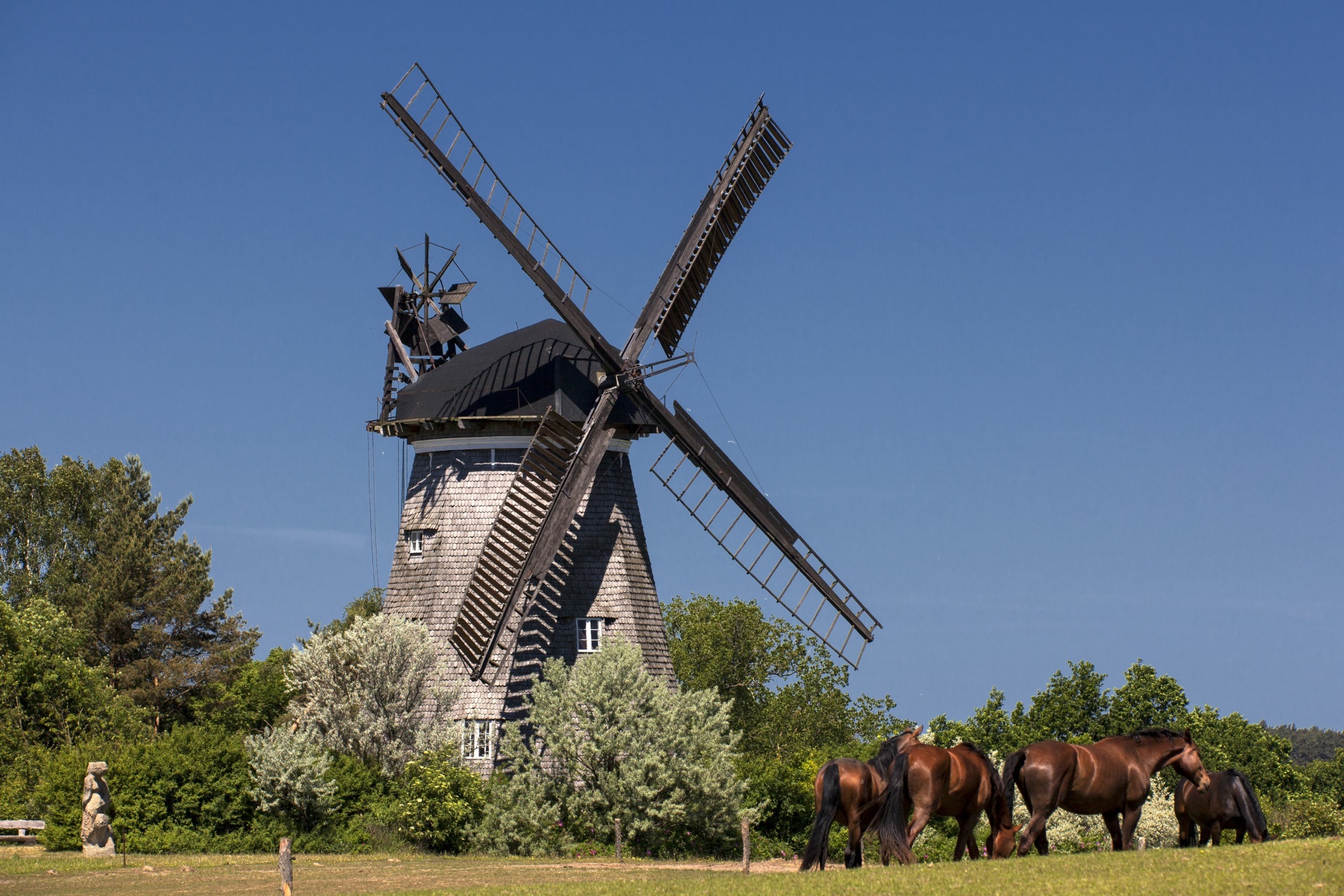 Usedom Windmühle Benz