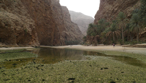 Wadi