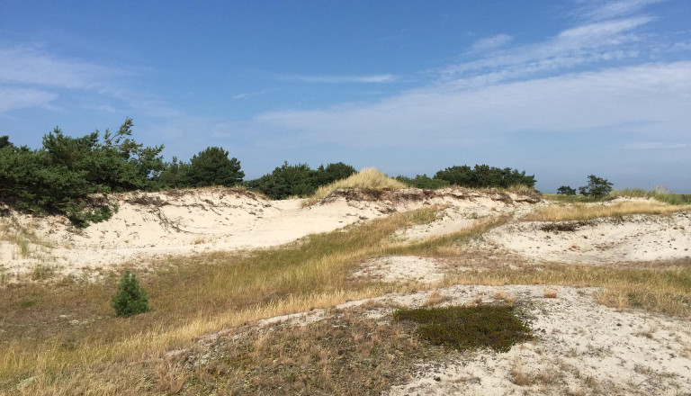 Wanderdüne Mecklenburg-Vorpommern