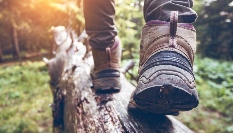 Wanderschuhe Wald