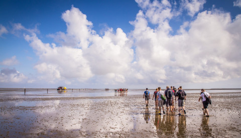 Wattenmeer Langeoog