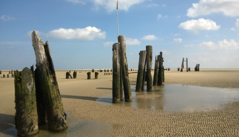 Wattenmeer Wangerooge