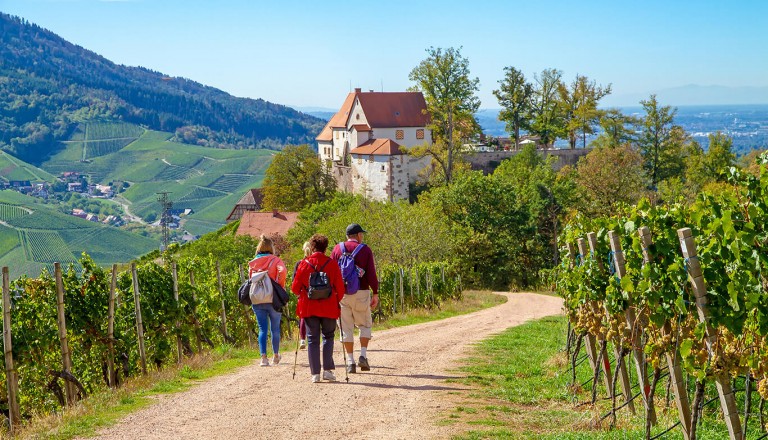 Wellnesshotel - Schwarzwald