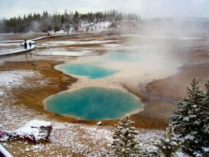 Yellowstone Park im Winter